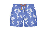 Shark Swim Trunks - Birds of Paradise
